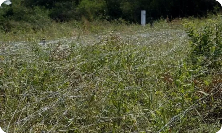 Малопомітна перешкода МПП «Путанка»