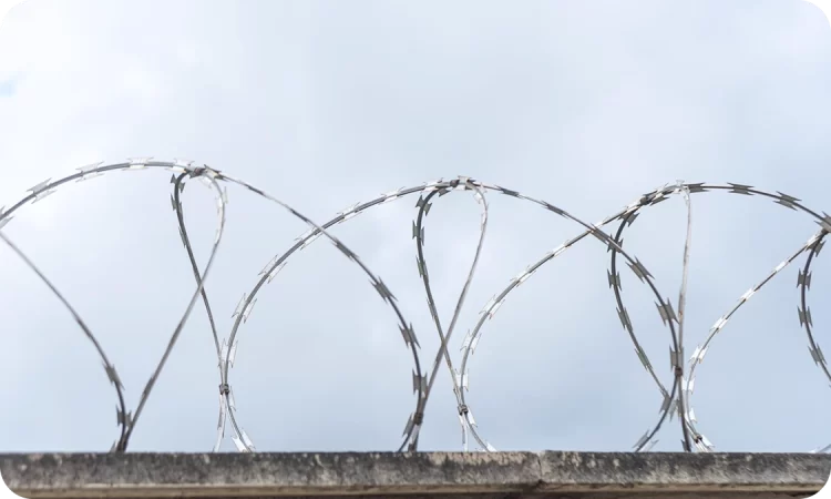 Дріт огороджувальний армований Єгоза